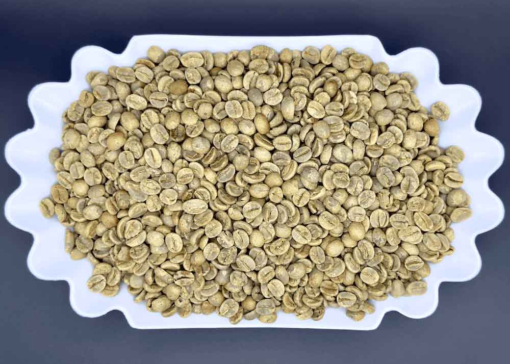 Dish of unroasted green Cerrado Catuai Brazilian coffee beans, natural process
