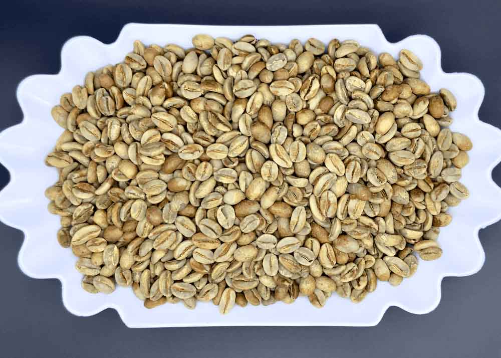 Dish of unroasted green Finca Tacacal Costa Rican coffee beans, Aguilera Brothers microlot