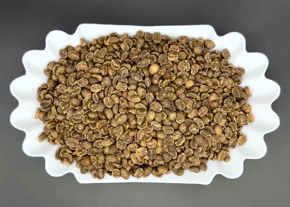 Dish of unroasted green Triunfo Verde Mexican decaf coffee beans, mountain water process