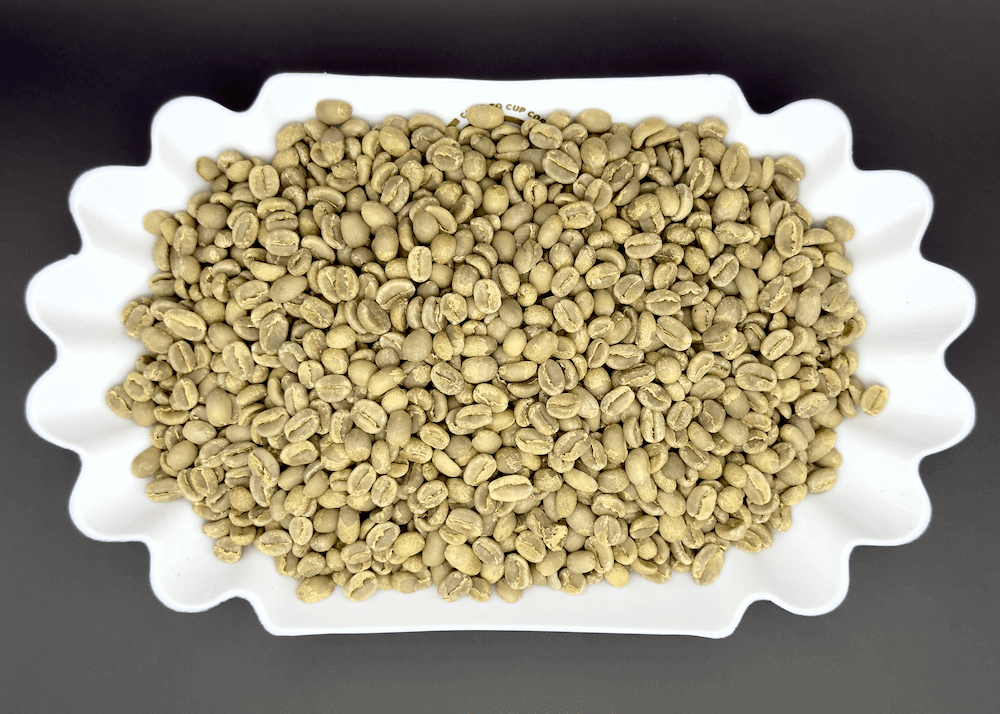 Unroasted green coffee beans from Banko Gotiti Yirgacheffe displayed in white scalloped dish, showing the natural pale green color of Ethiopian coffee