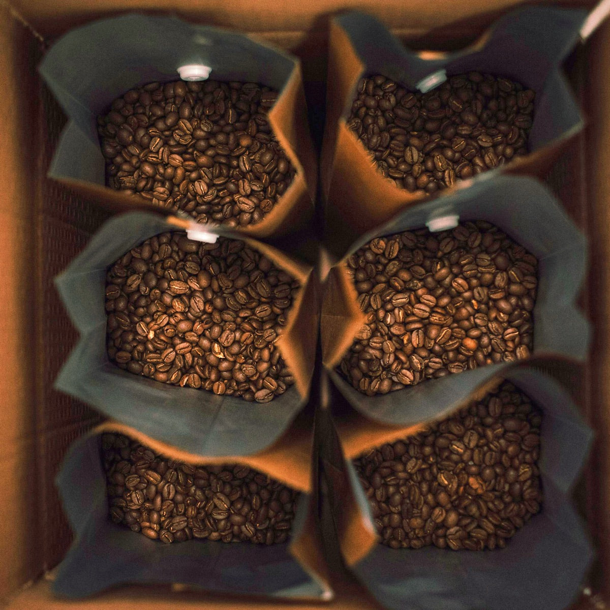 Bags of Doctopus Roaster’s Choice coffee fresh beans packed in bags