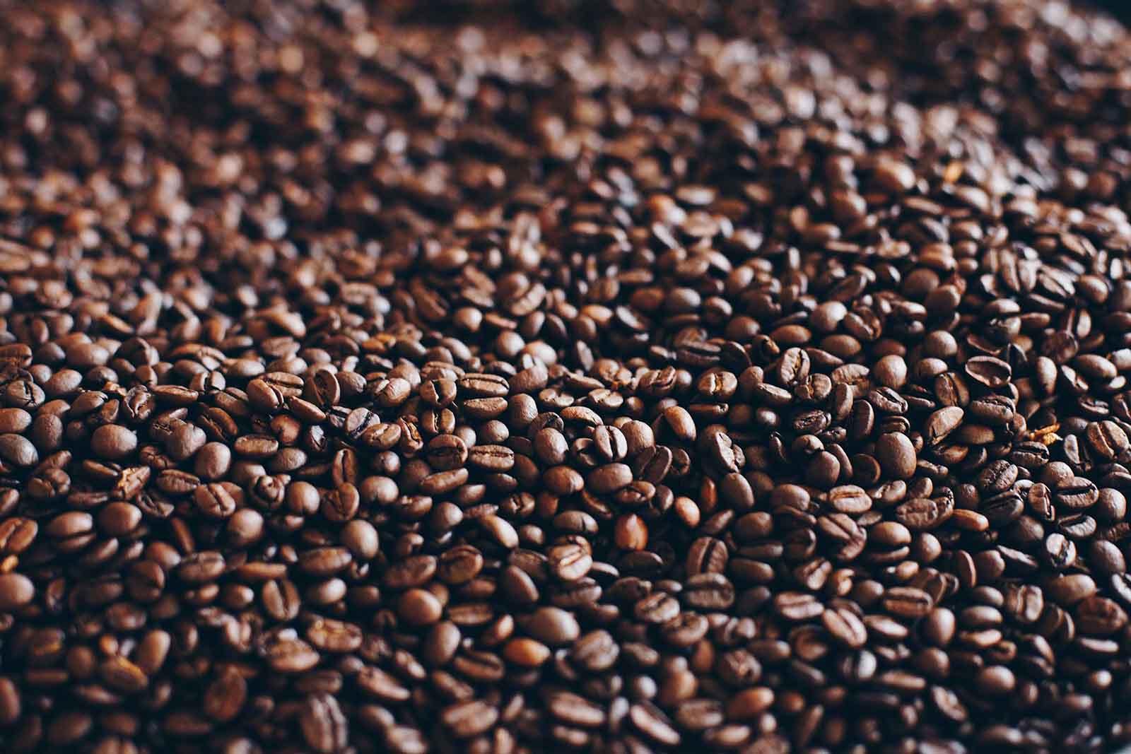 Freshly roasted coffee beans